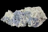 Purple/Gray Fluorite Cluster - Marblehead Quarry Ohio #81188-1